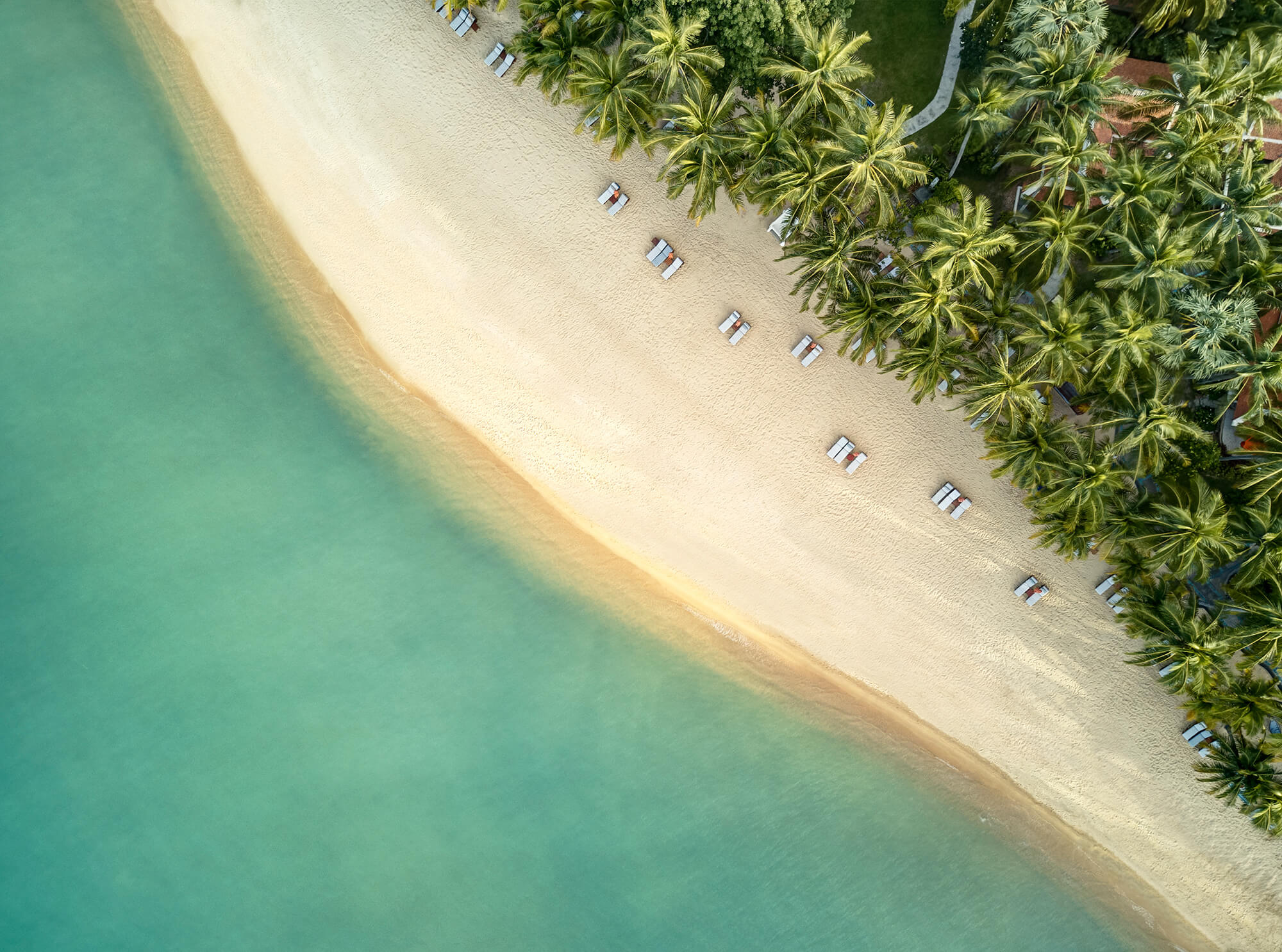 La plage bordée de palmiers du Santiburi à Koh Samui